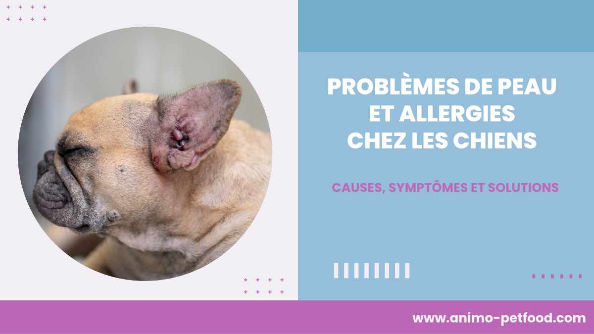 problemes-de-peau-et-allergies-chez-les-chiens